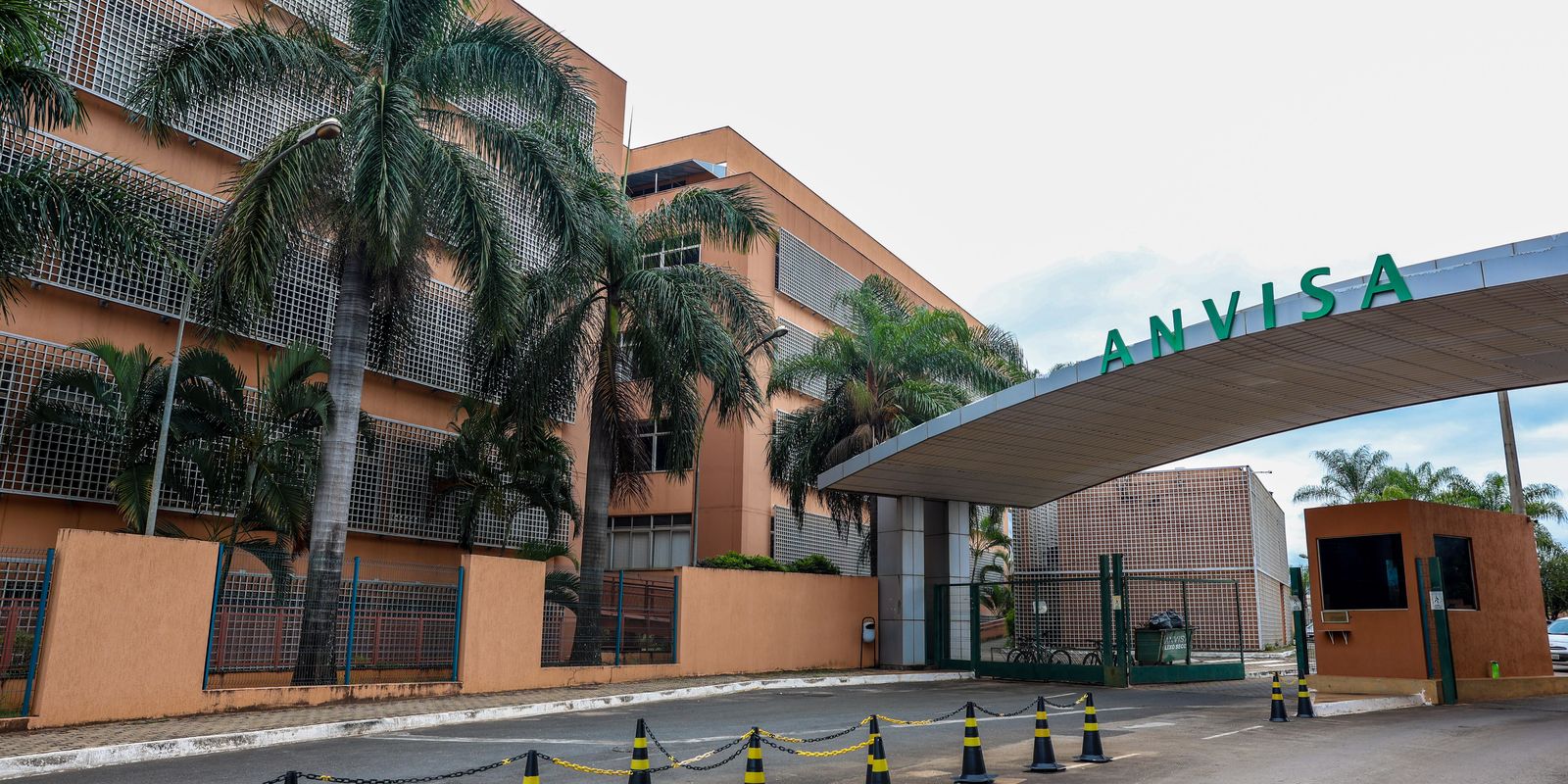 Anvisa emite alerta sobre riscos de danos hepáticos associados a suplementos de cúrcuma