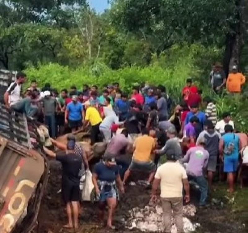 Caminhão com gado tomba e populares abatem animais na BR-070