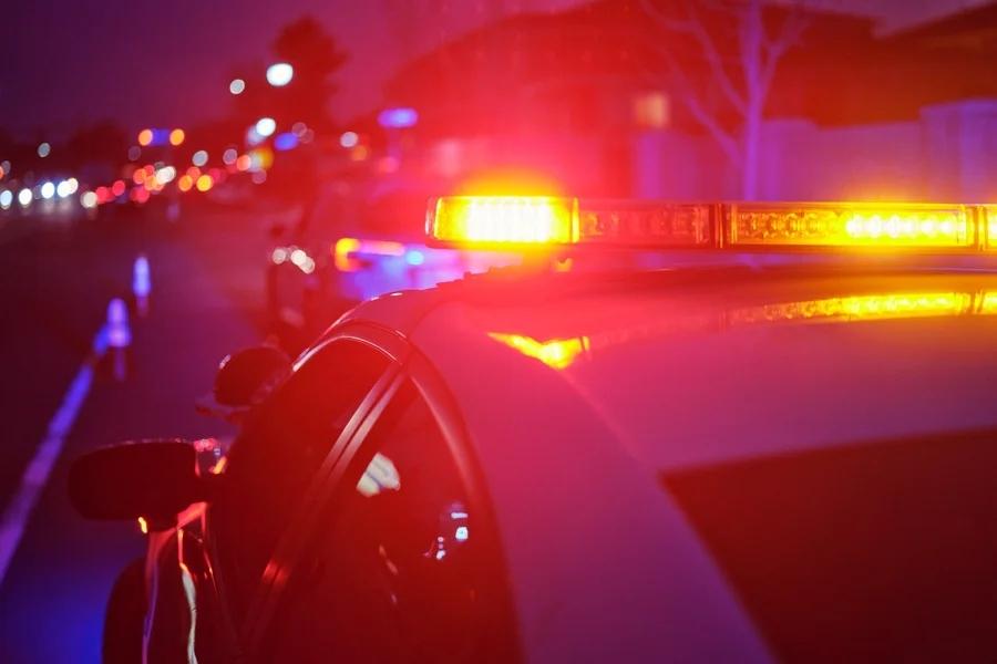 Homem foi devorado por 11 cães após morrer em apartamento