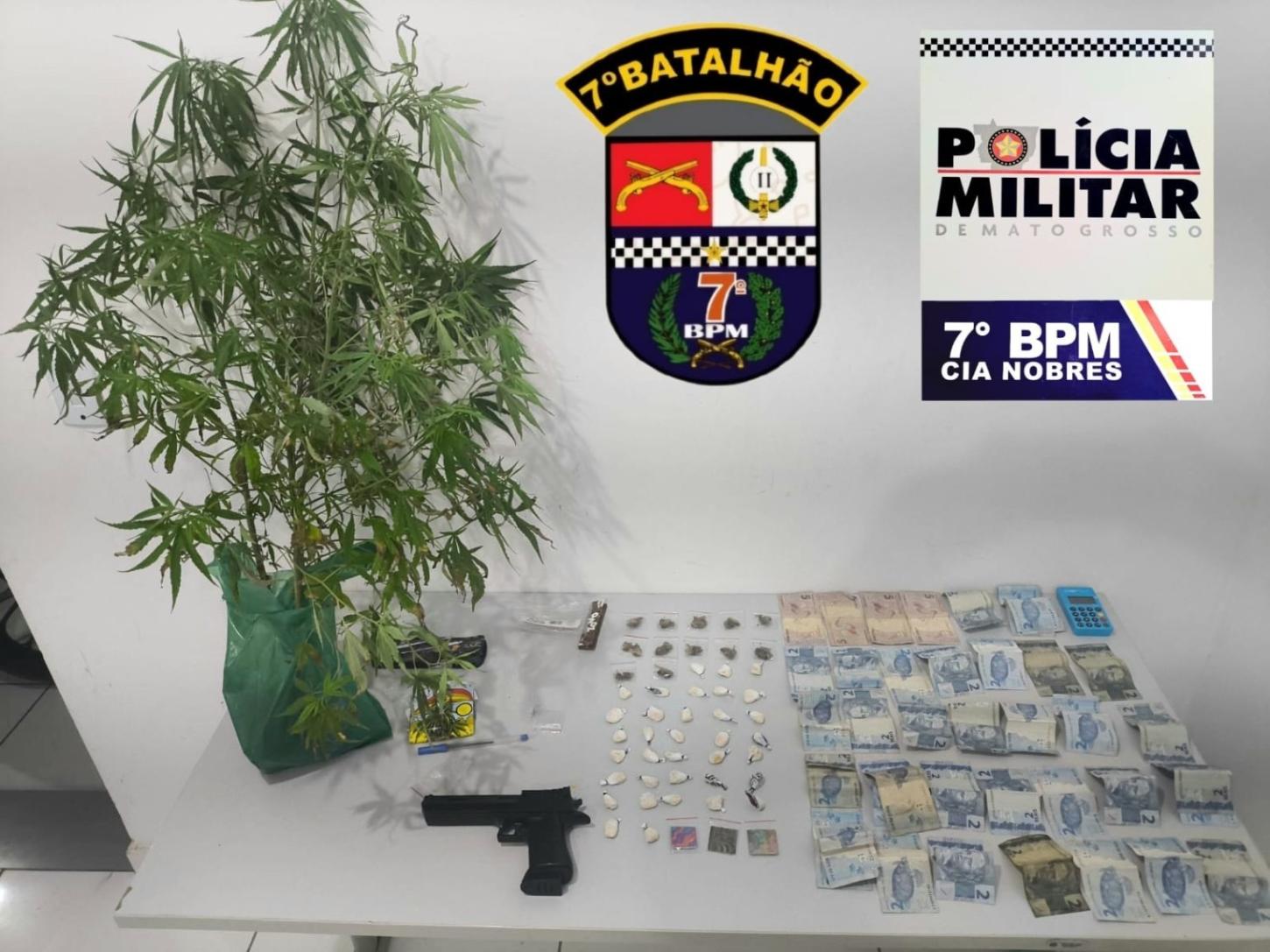 Mais um jovem foi preso por tráfico e cultivo de drogas no em Nobres