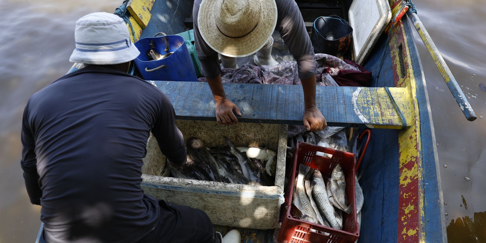 Sexto lote do Seguro-Defeso chega aos pescadores nesta terça-feira