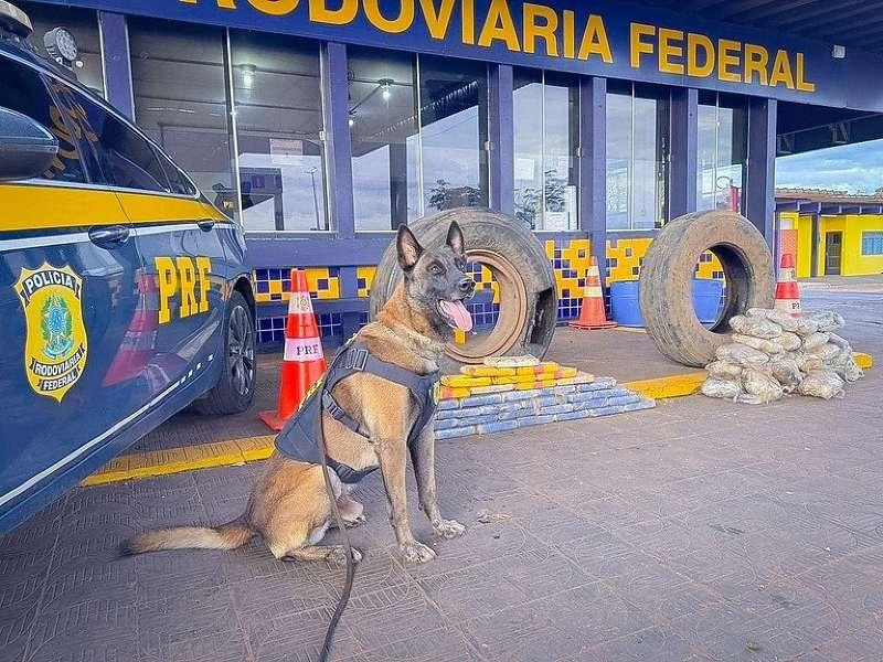 PRF apreende cerca de 65 kg de drogas escondidas em pneus na BR-364