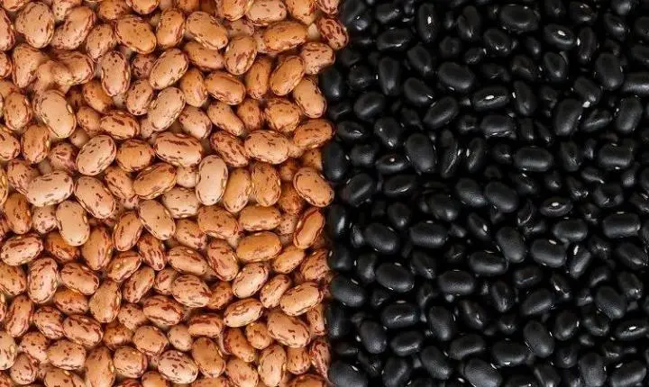 Feijão carioca e feião preto recuam com demanda mais fraca
