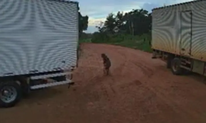 Idosa de 104 anos morre atropelada por caminhão em Várzea Grande
